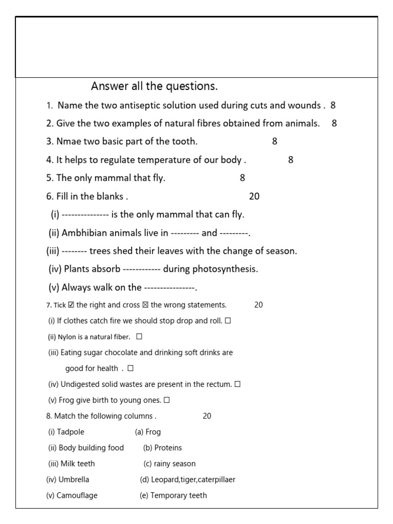 Class 4 Science Exam Questions | PDF