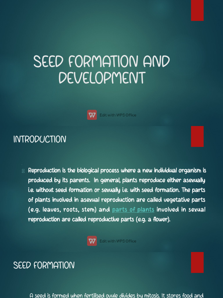 Seed Formation and Dispersal in Plants | PDF | Seed | Fertilisation