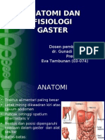 Anatomi Dan Fisiologi Gaster