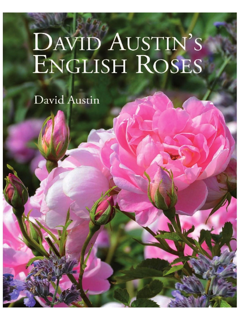 Vdoc - Pub English Roses | PDF