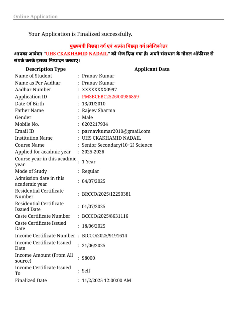 Successful Online Application Confirmation | PDF
