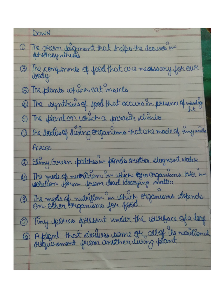 Palak Chopra 7C 28 Science Art Integration Activity | PDF