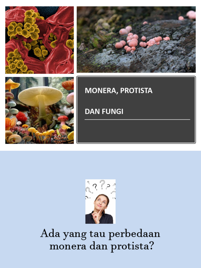 Perbedaan Monera dan Protista | PDF