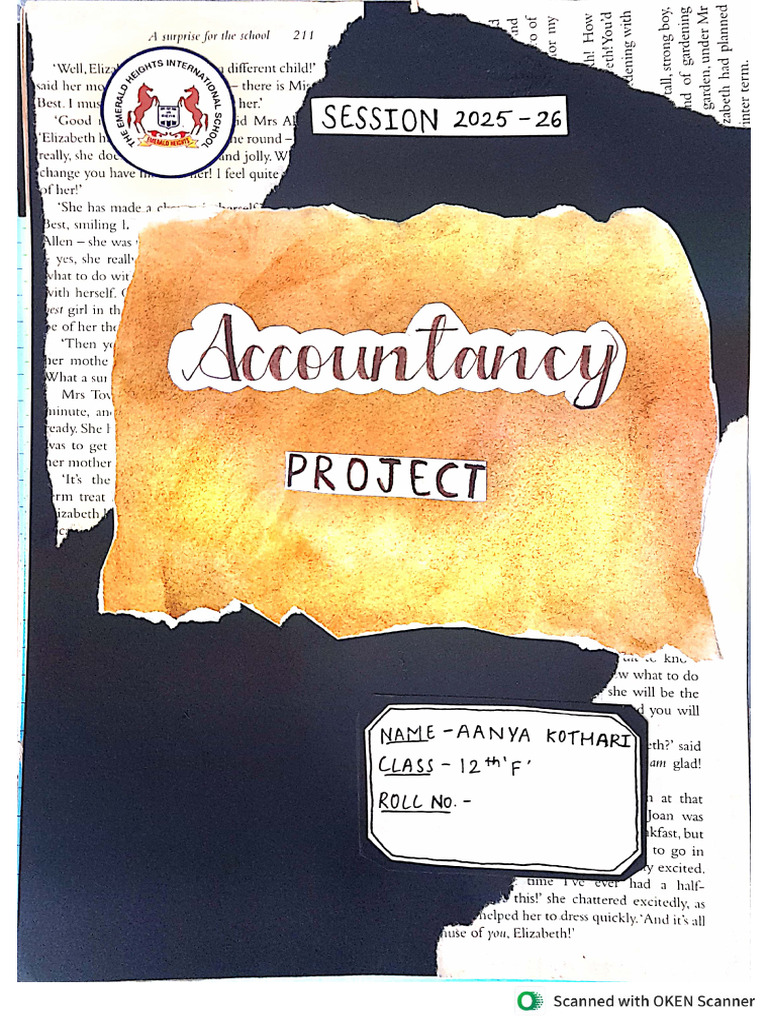Accountancy Project 2025-26 | PDF