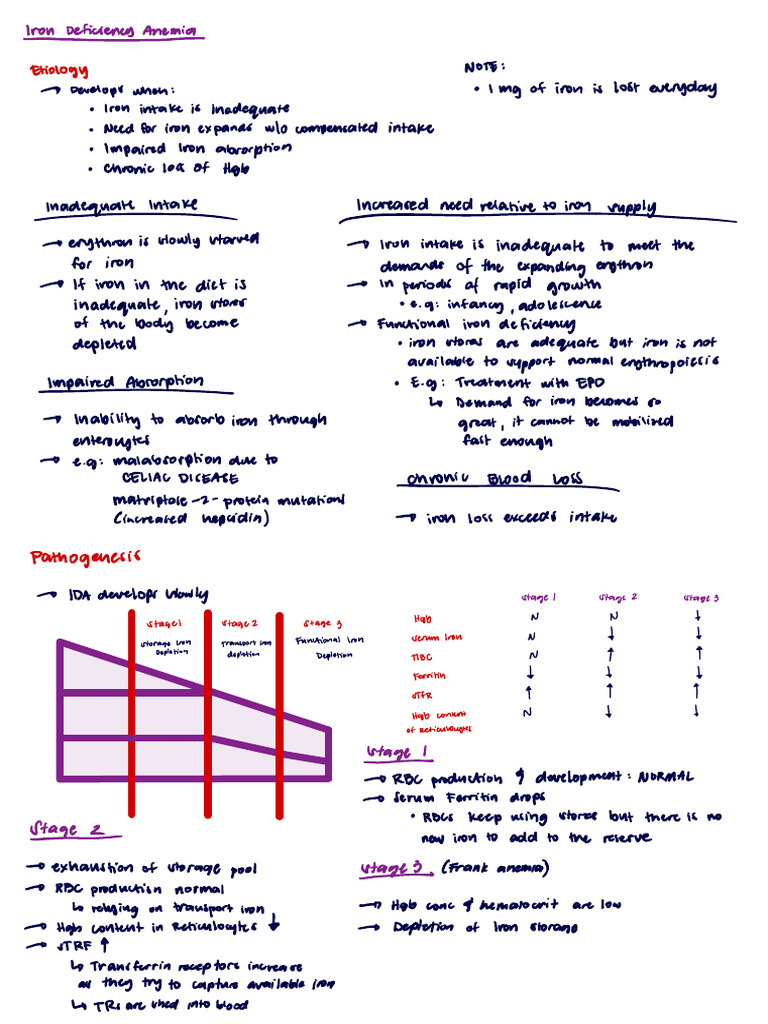 Summarized Hema 1 | PDF | Anemia | Blood