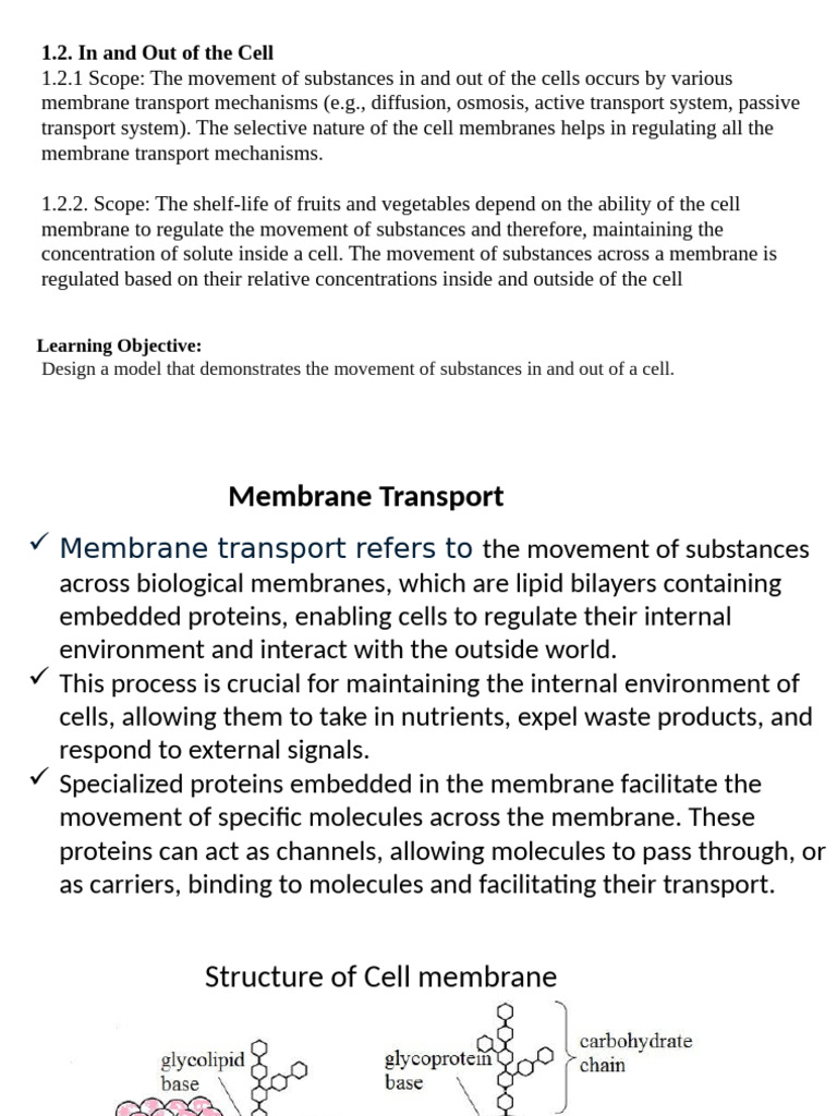 Membrane Transport in Cells Explained | PDF | Cell Membrane | Osmosis