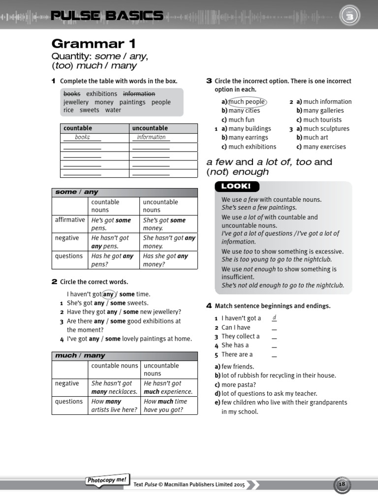 Pulse Basics 5a Some Any Much Many | PDF | Noun | Morphology