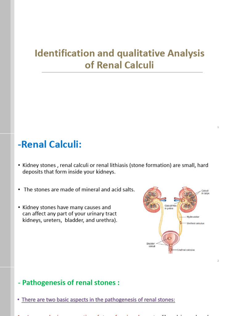 Qualitative Analysis of Kidney Stones | PDF | Chemical Substances ...