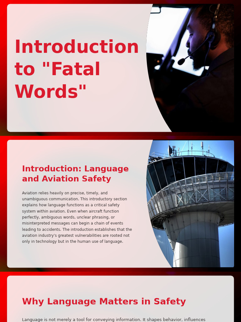 Language's Role in Aviation Safety | PDF | Communication | Linguistics