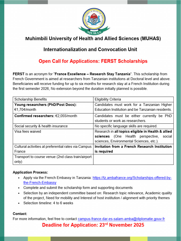 FERST Scholarships for Tanzanian Researchers | PDF
