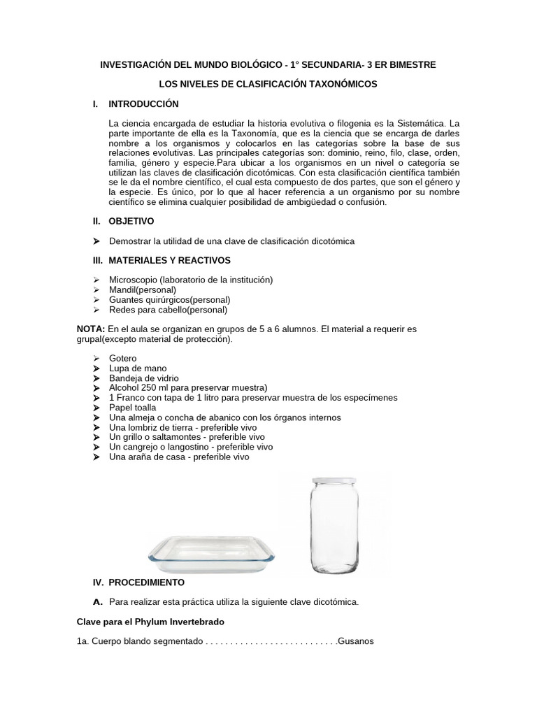 Niveles de Clasificación Taxonómica | PDF | Biología | Clasificación ...