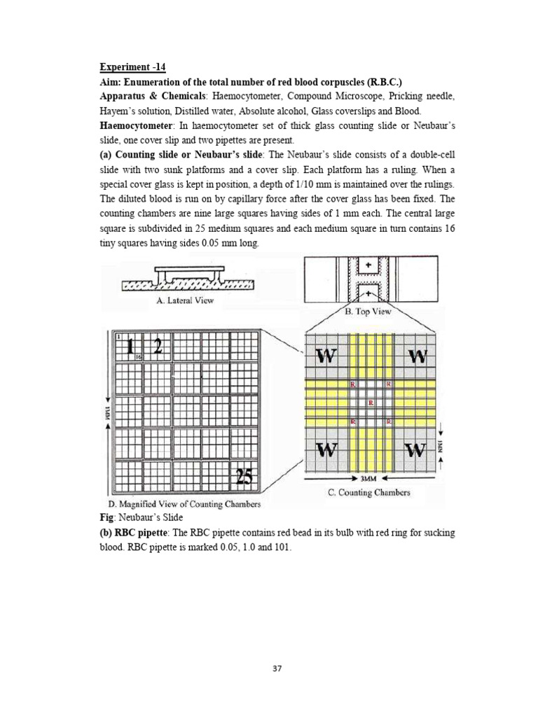 RBC Enumeration Using Haemocytometer | PDF | Red Blood Cell