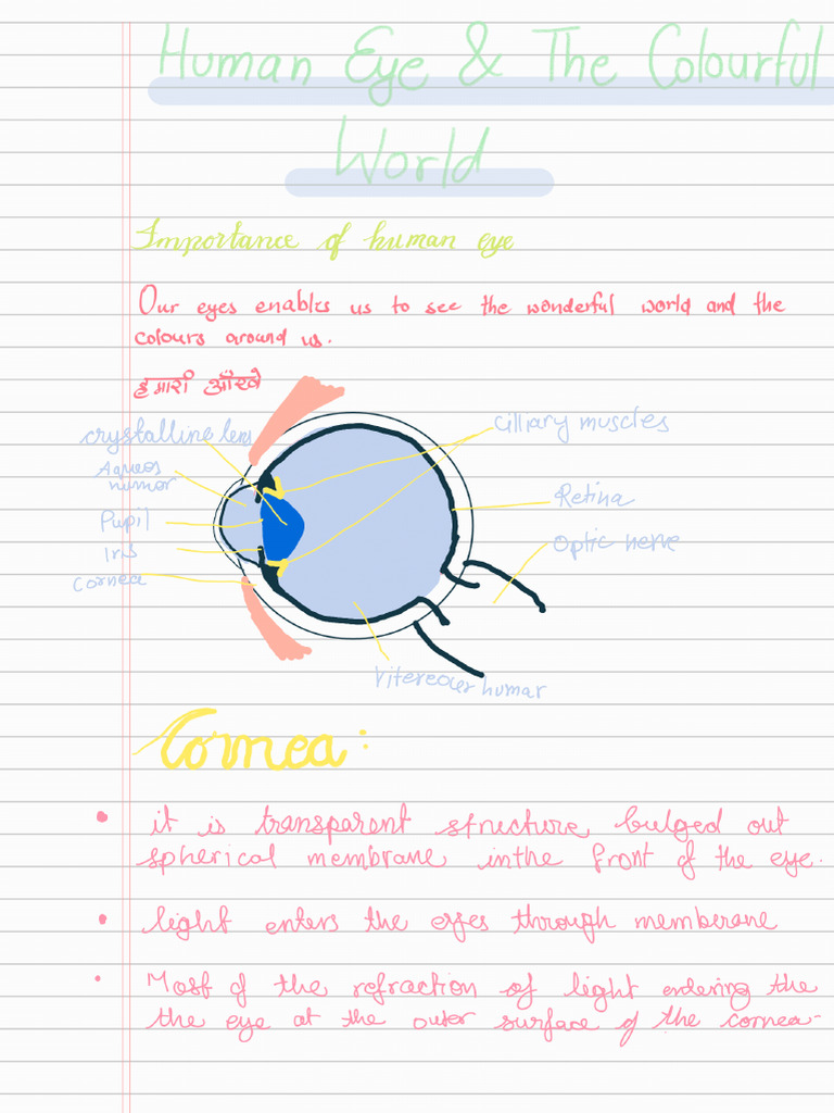 Human Eye& the Colourful World_230819_135747 | PDF