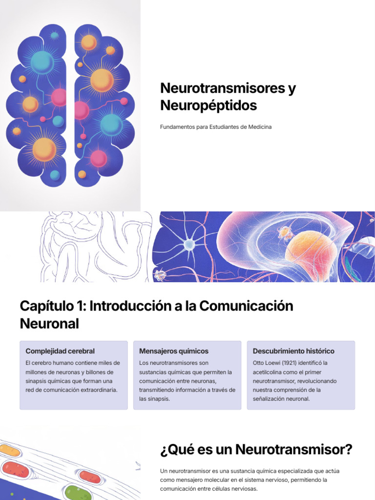 Neurotransmisores y Neuropéptidos Esenciales | PDF | Sinapsis ...