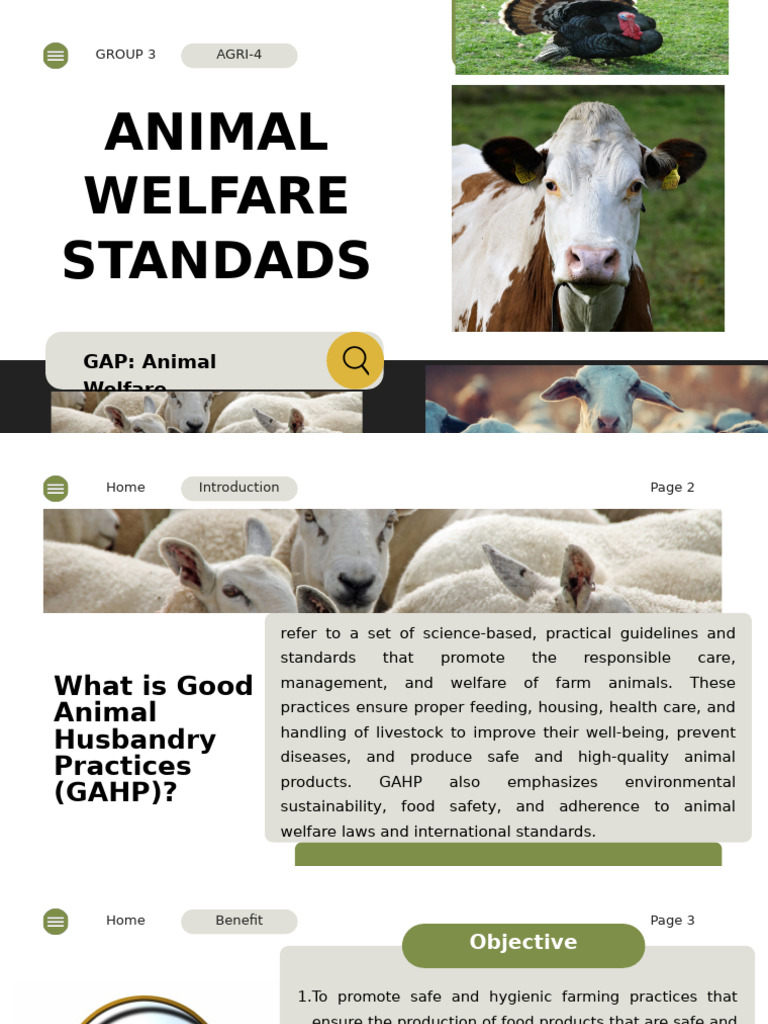 Animal Welfare Standars - Final (Group4) | PDF | Veterinary Medicine ...