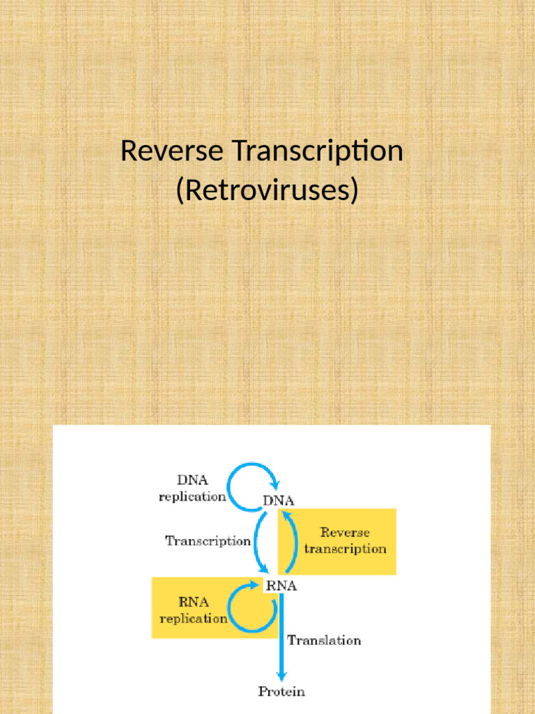 Reverse Transcription (Retroviruses) | PDF
