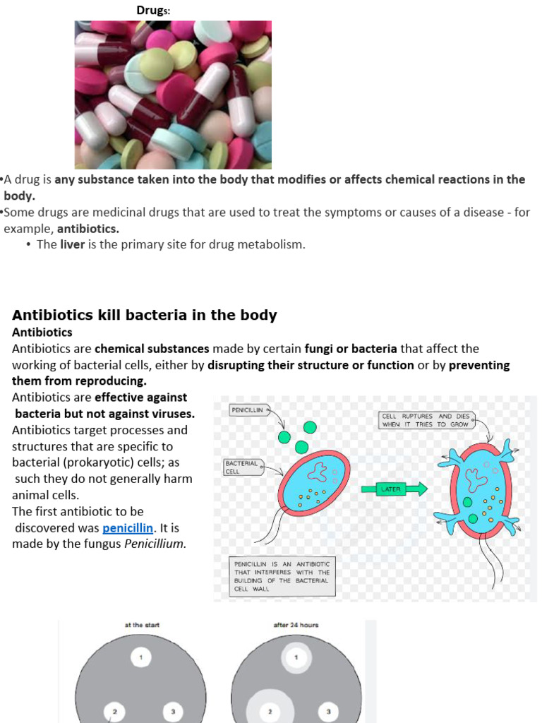 Drugs | PDF | Bacteria | Antimicrobial Resistance