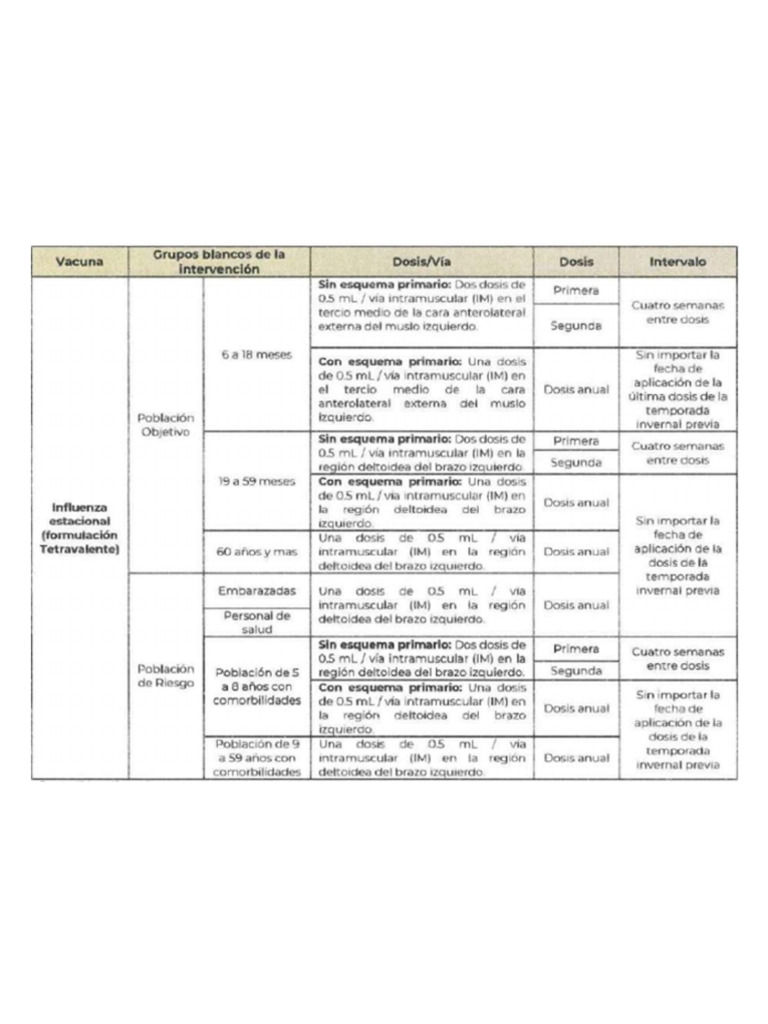 Esquema Anti Inluenza | PDF