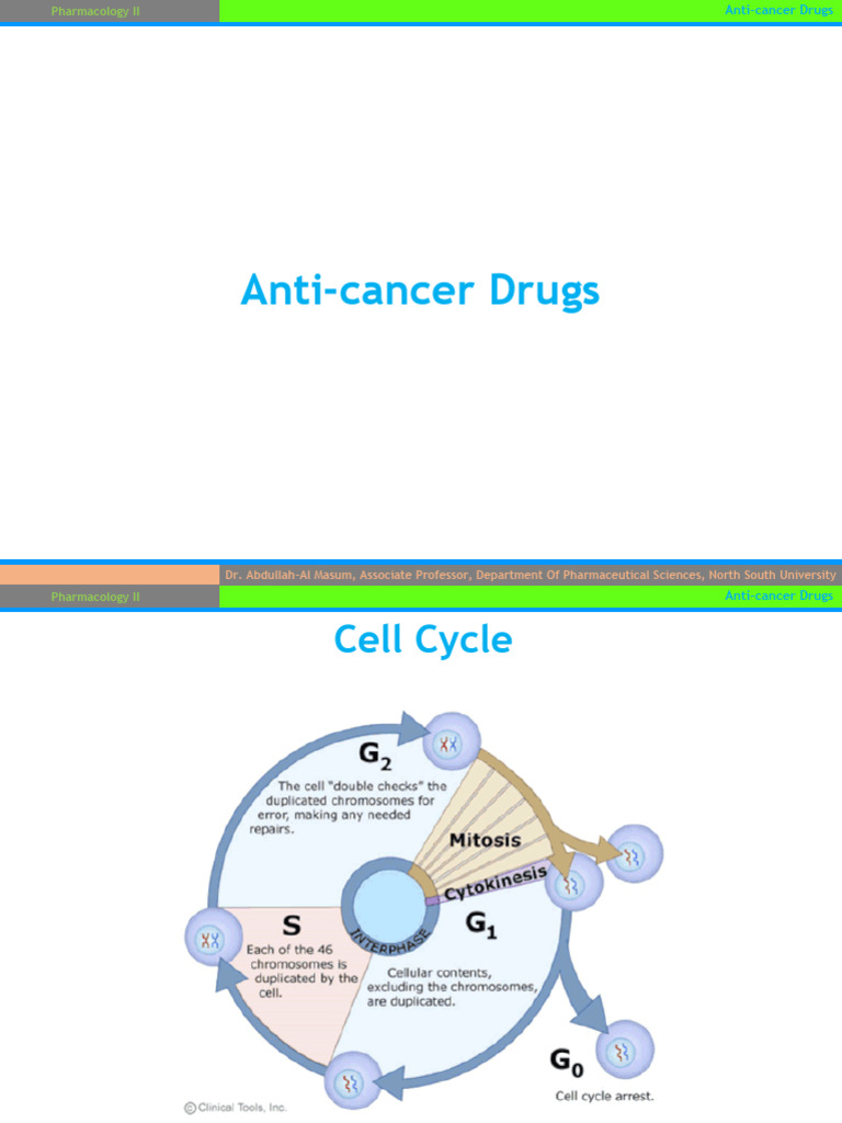 Anti-Cancer Drugs and Cell Cycle Insights | PDF | Cell Cycle | P53