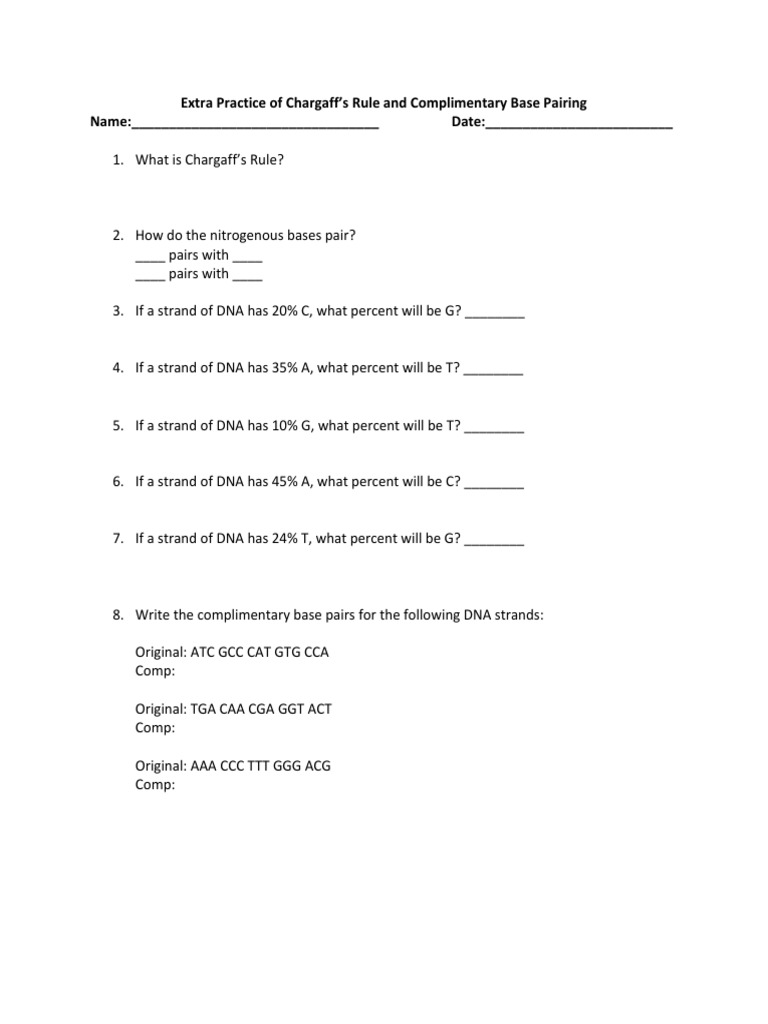 Activity Sheets For DNA | PDF | Dna | Base Pair