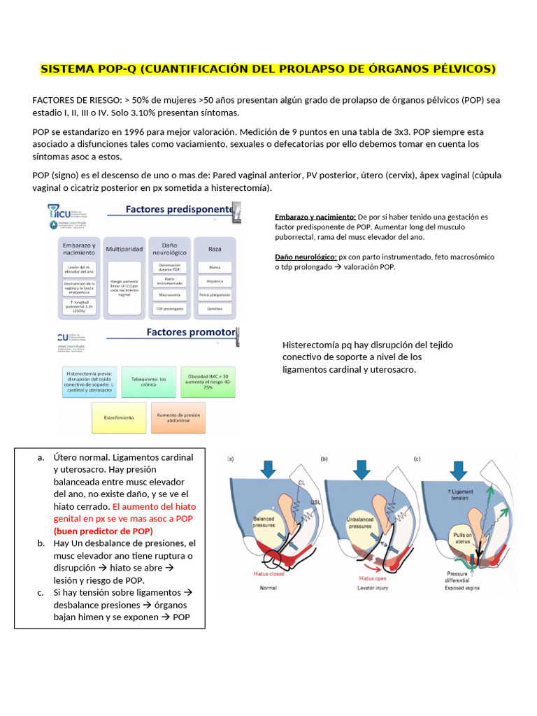Sistema Popq | PDF | Vagina | El embarazo