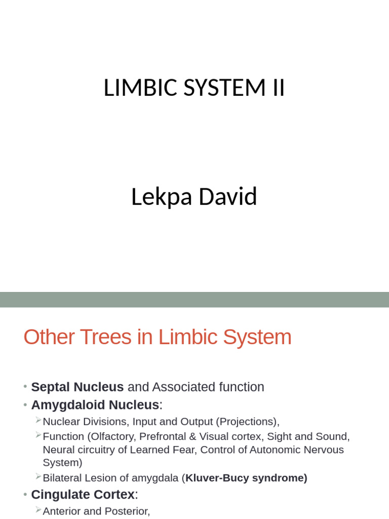 Limbic System Functions and Structures | PDF | Amygdala | Cerebral Cortex