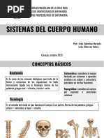 Esquema Completo de Anatomía Humana | PDF