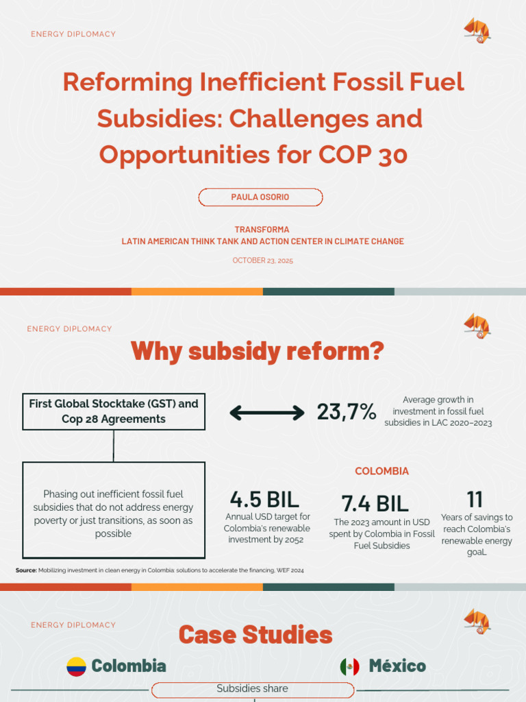 Reforming Fossil Fuel Subsidies in LAC | PDF | Subsidy | Fossil Fuels