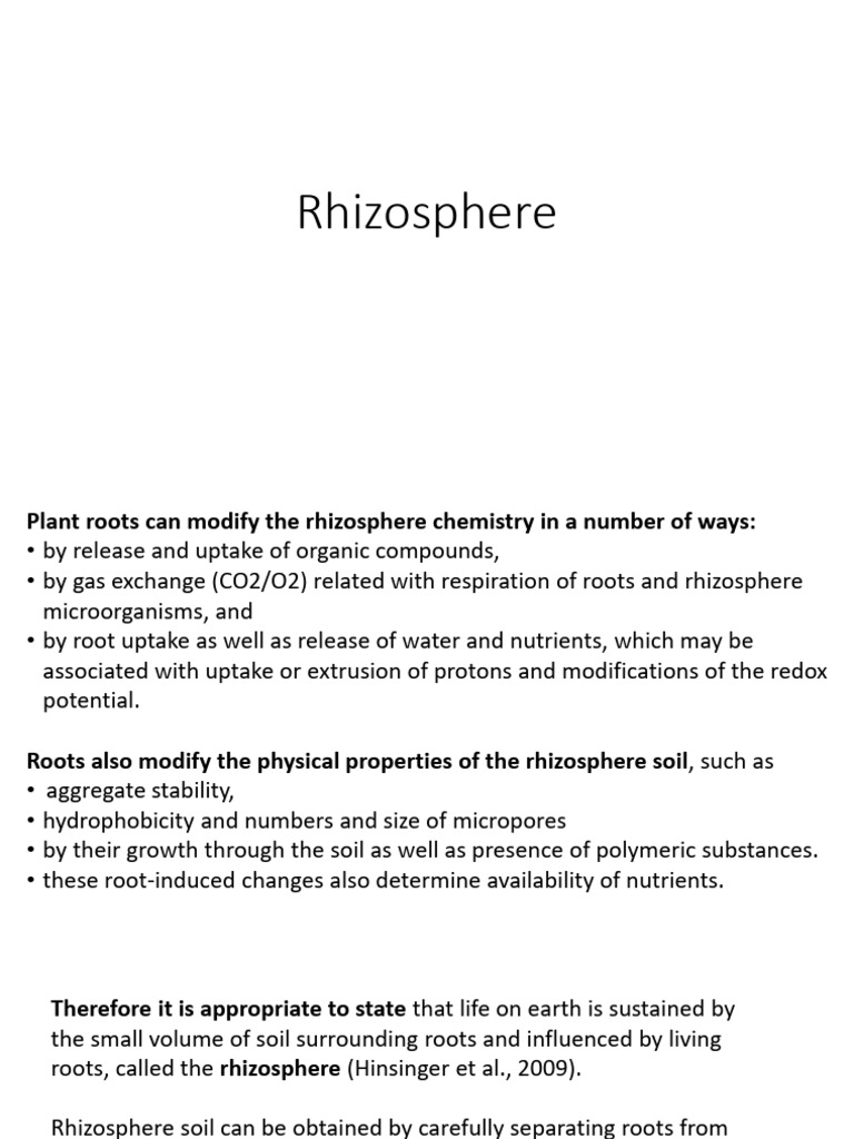 Understanding the Rhizosphere Dynamics | PDF | Soil | Root