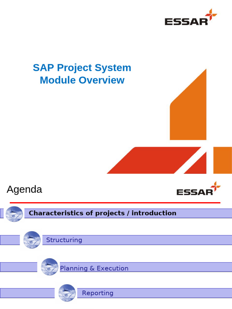 SAP Project System Overview Guide | PDF | Budget | Procurement