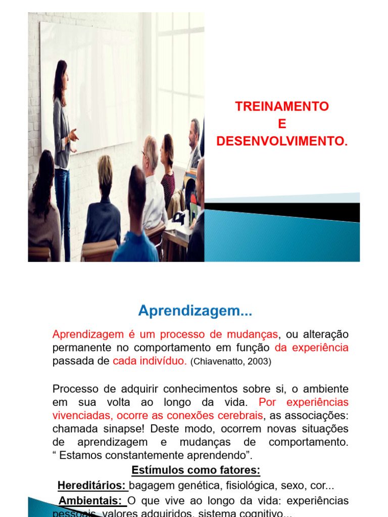 Aprendizagem e Desenvolvimento Pessoal | PDF | Aprendizado | Gestão de ...