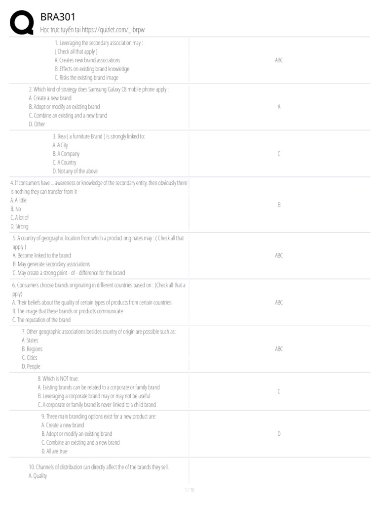 Brand Equity Strategies and Assessments | PDF