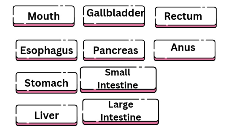 LABEL NAME of Digestive | PDF