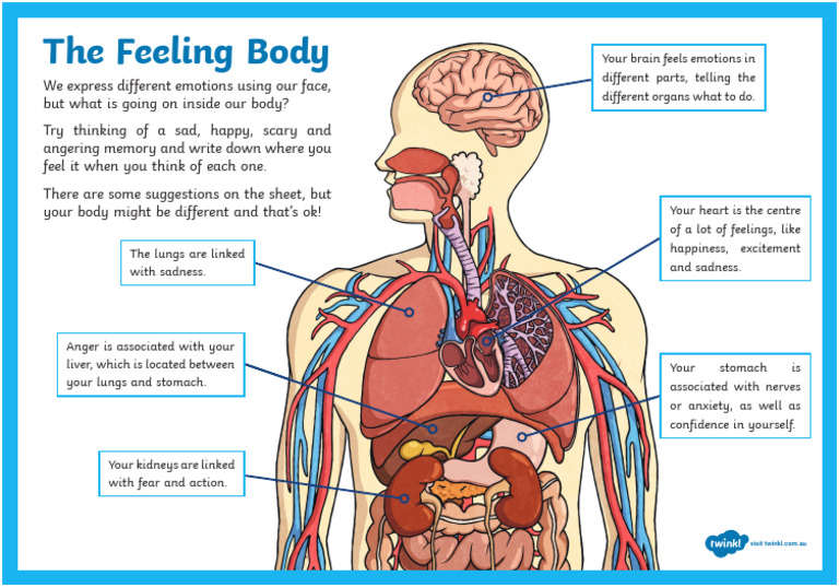 Au C 2548617 The Feeling Body Activity Ver 1 | PDF