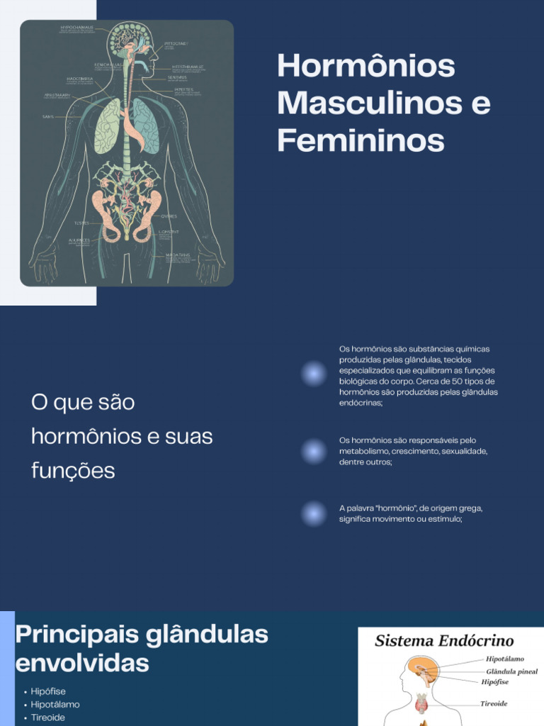 Apresentação - Hormônios Masculinos e Femininos (1) .PDF - 20251112 ...