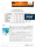 BRASIL INFORME PAIS 2011