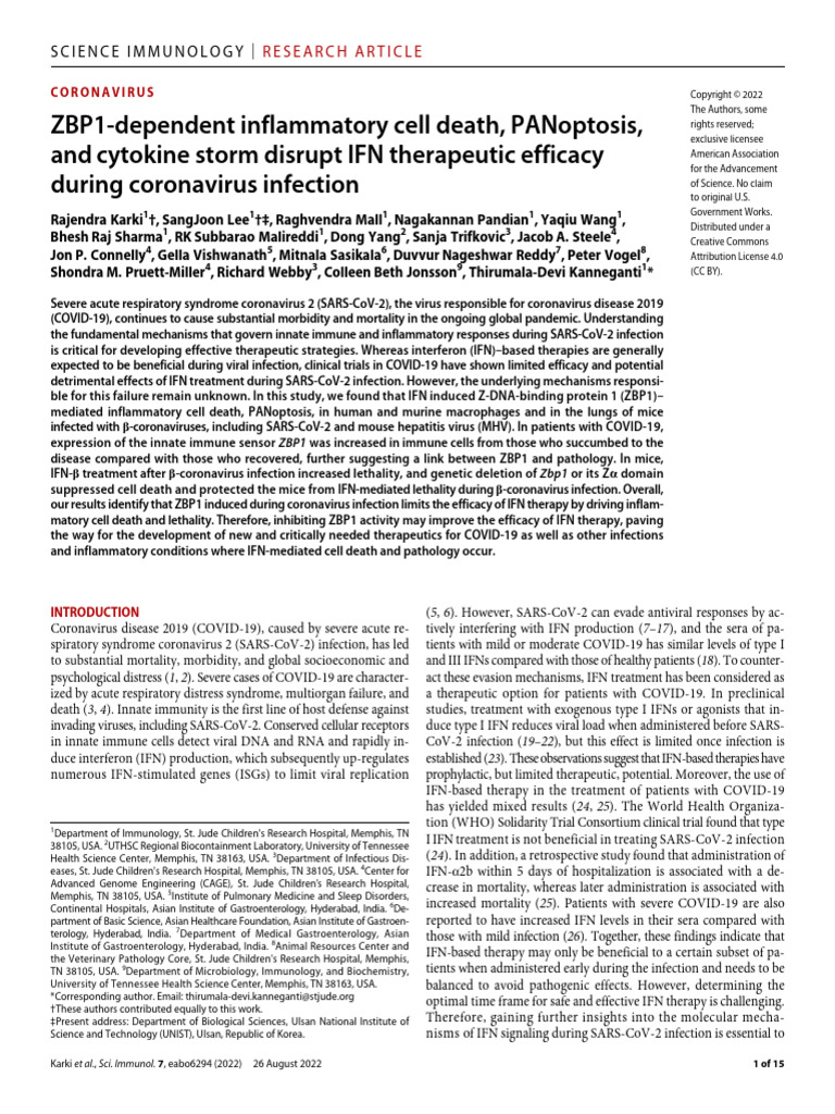 ZBP1's Role in COVID-19 IFN Therapy | PDF | Interferon | Life Sciences