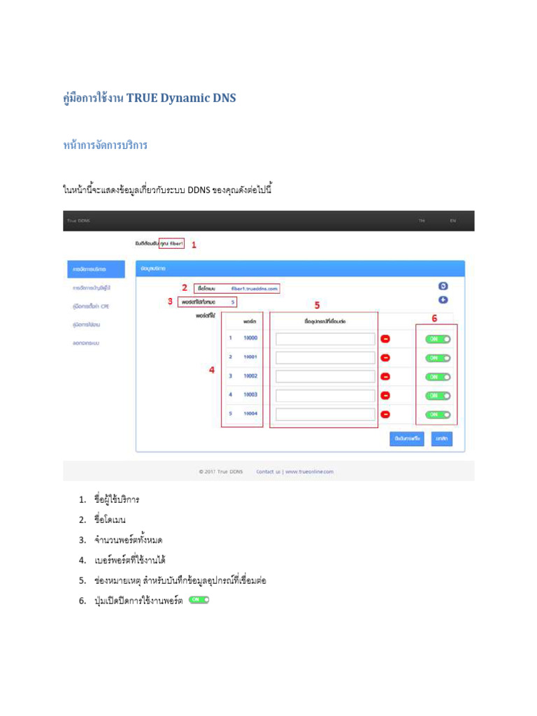 Manual TRUE Dynamic DNS | PDF