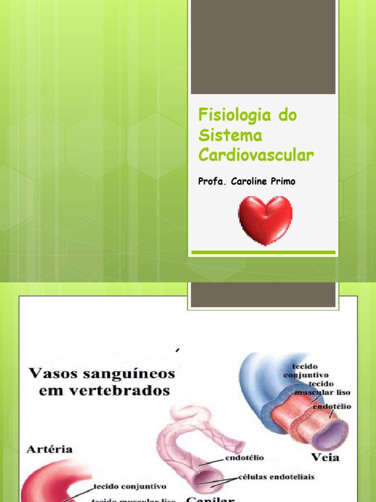 Fisiologia do Sistema Cardiovascular | PDF | Coração | Potencial de ação