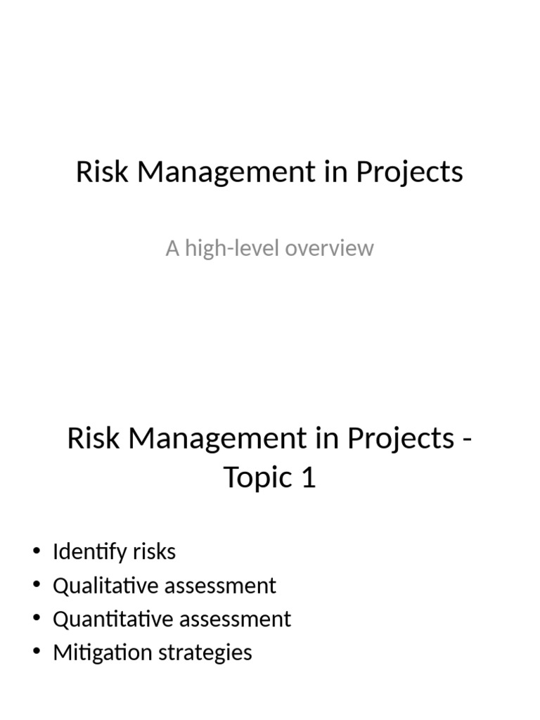 Risk Management in Projects | PDF