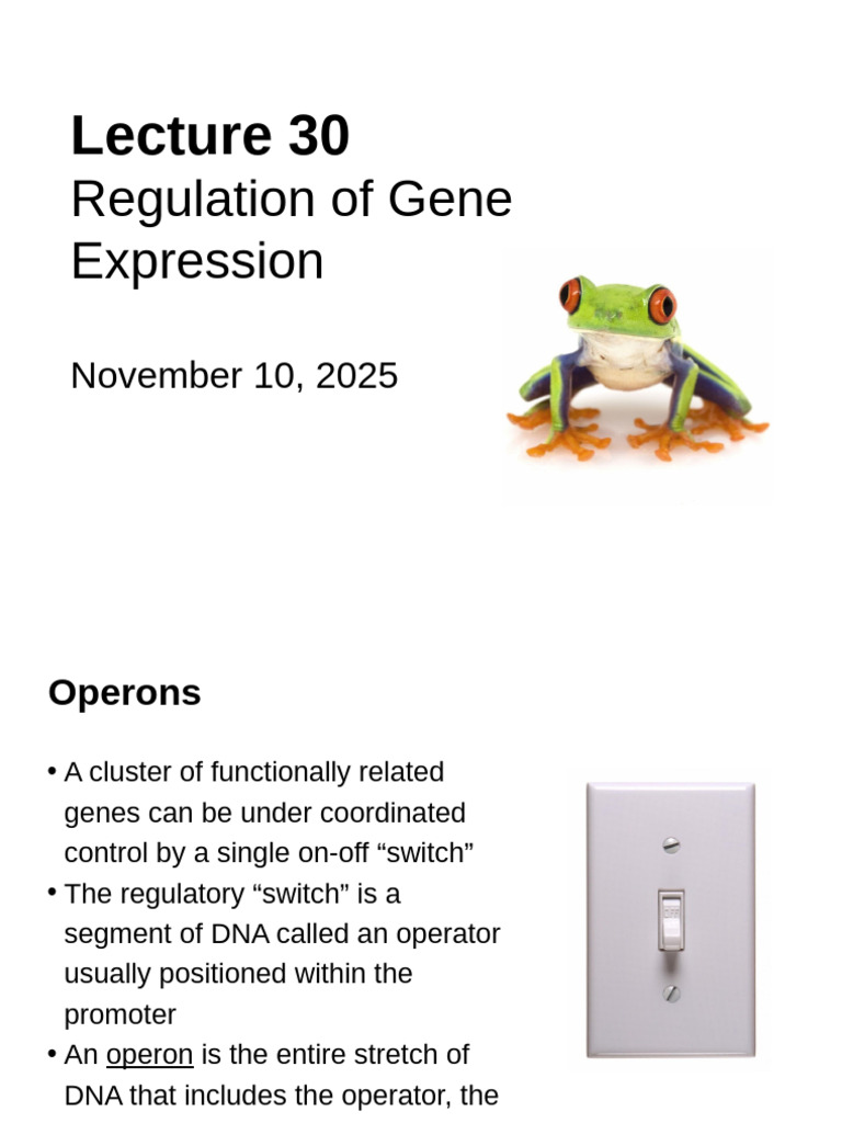 Gene Expression Regulation Overview | PDF | Operon | Repressor