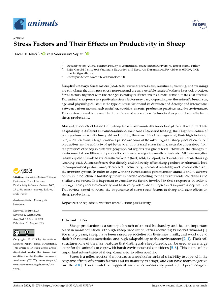 Effects of Stress on Sheep Productivity | PDF | Sheep | Stress (Biology)