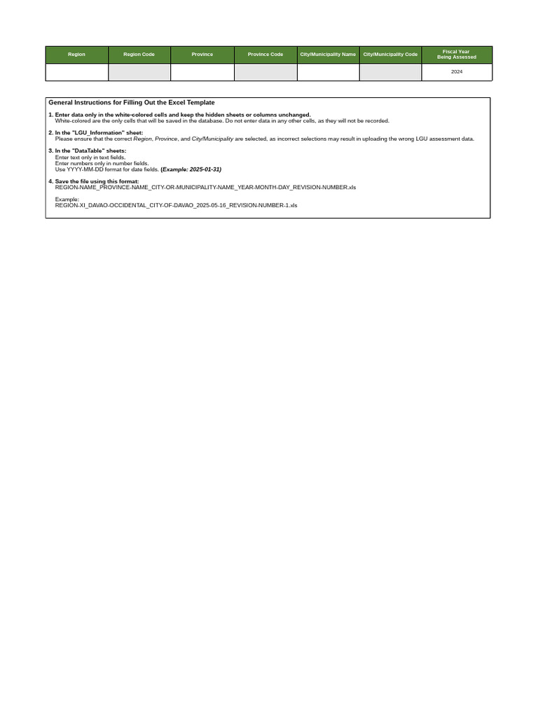 LGU Assessment Data Entry Guide | PDF | Budget | Capital Expenditure