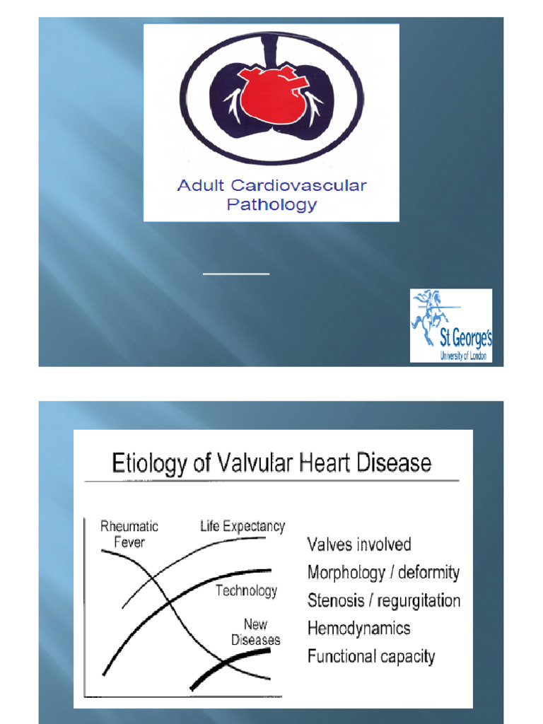 Valve Disease 2015 | PDF | Heart Valve | Heart
