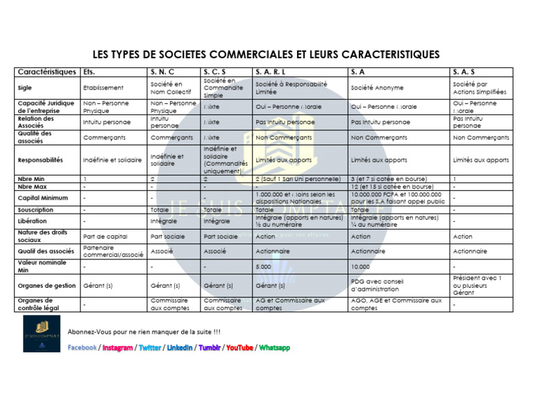 Types De Soci t s Commerciales Et Caract ristiques PDF Action 