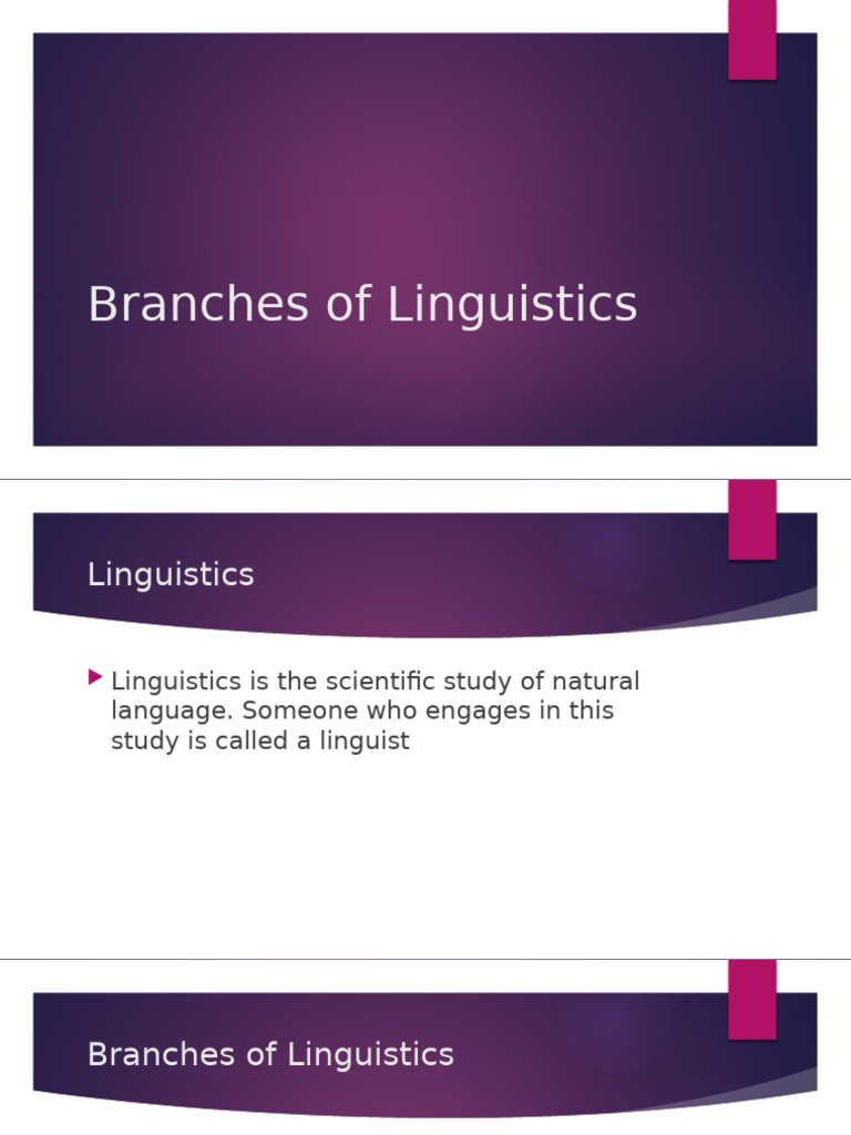 Overview of Linguistics Branches | PDF | Linguistics | Human Communication