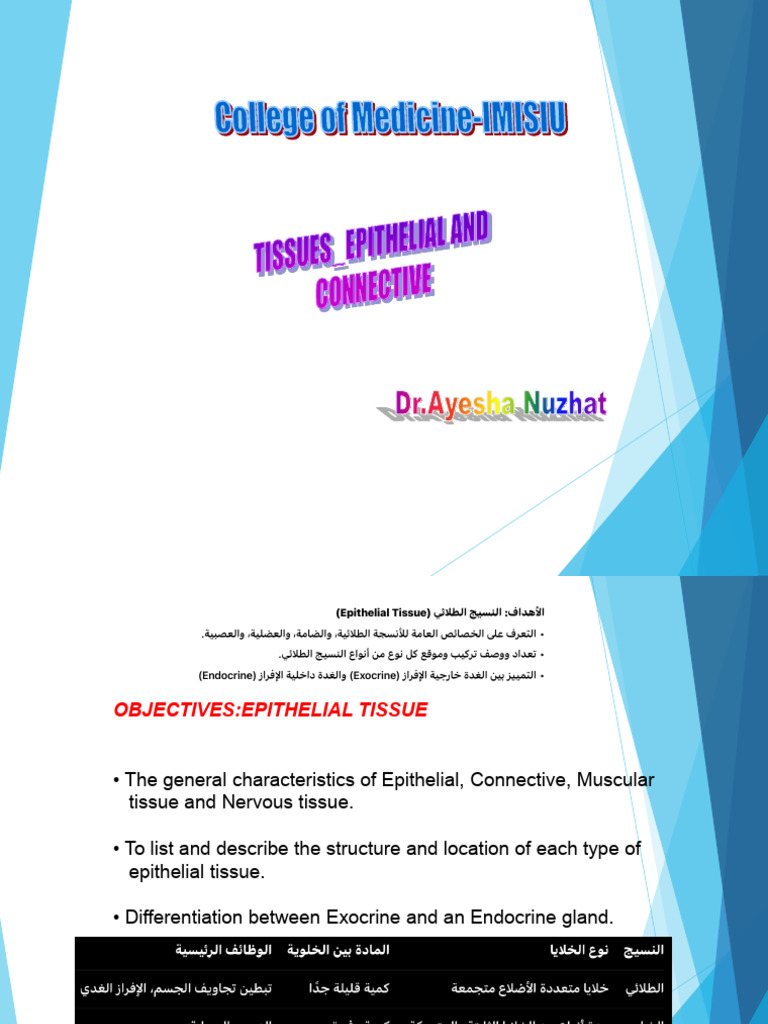 Epithelial Tissue Overview and Types | PDF | Epithelium | Tissue (Biology)