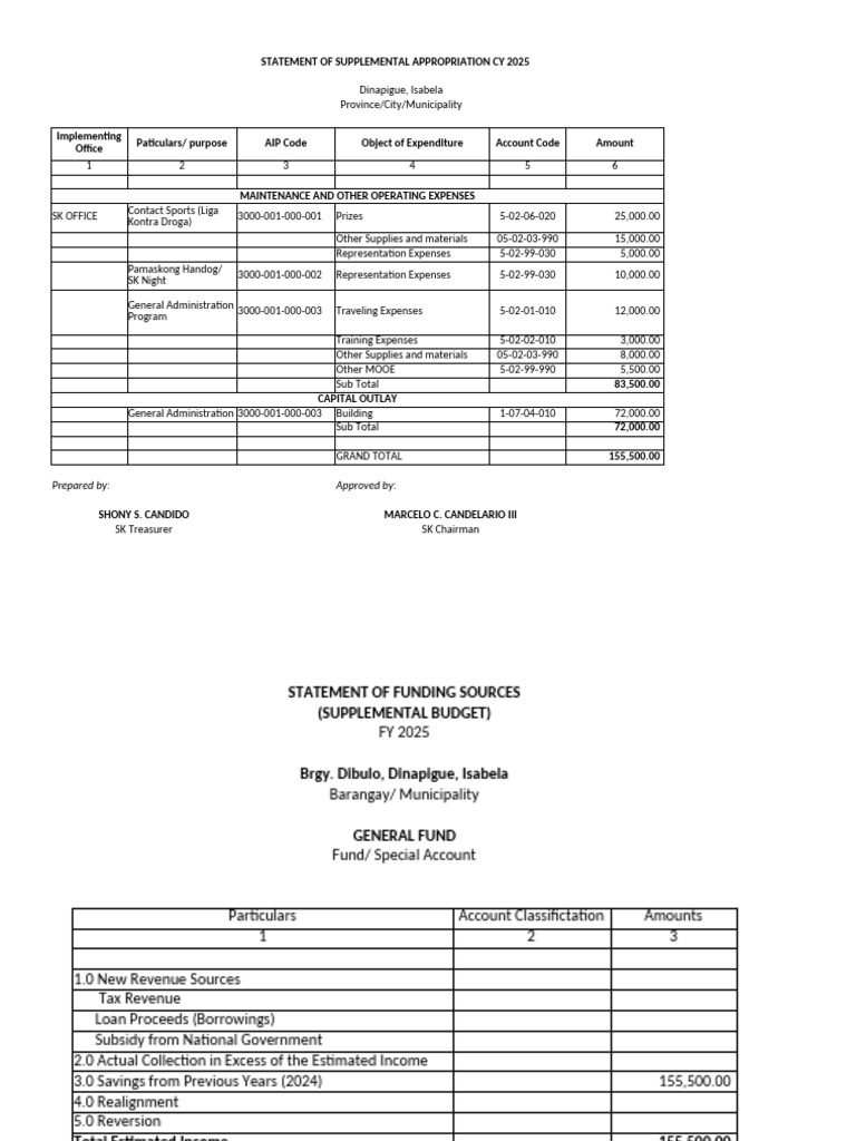 CY 2025 Supplemental Appropriation Statement | PDF | Expense | Fund ...