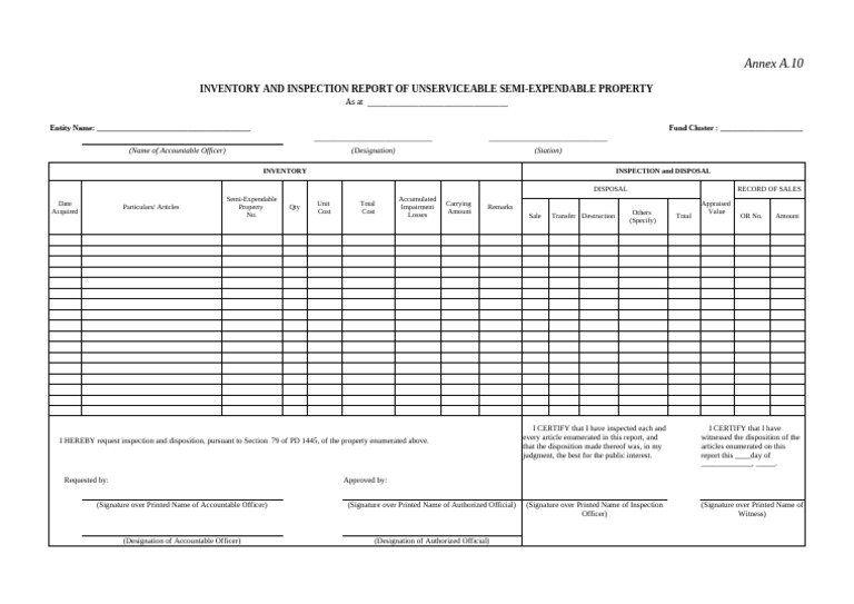 Inventory Report for Unserviceable Property | PDF