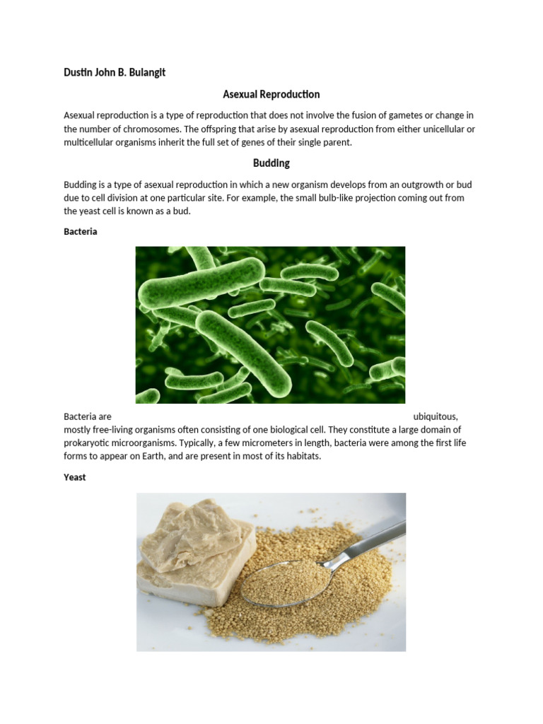 Asexual Reproduction | PDF | Fertilisation | Sexual Reproduction